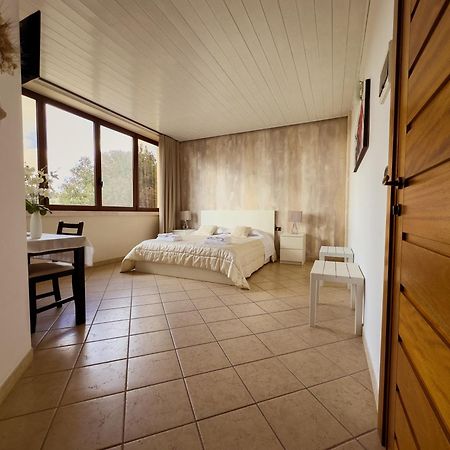 ألبيروبيللو B&B Il Leccio المظهر الخارجي الصورة