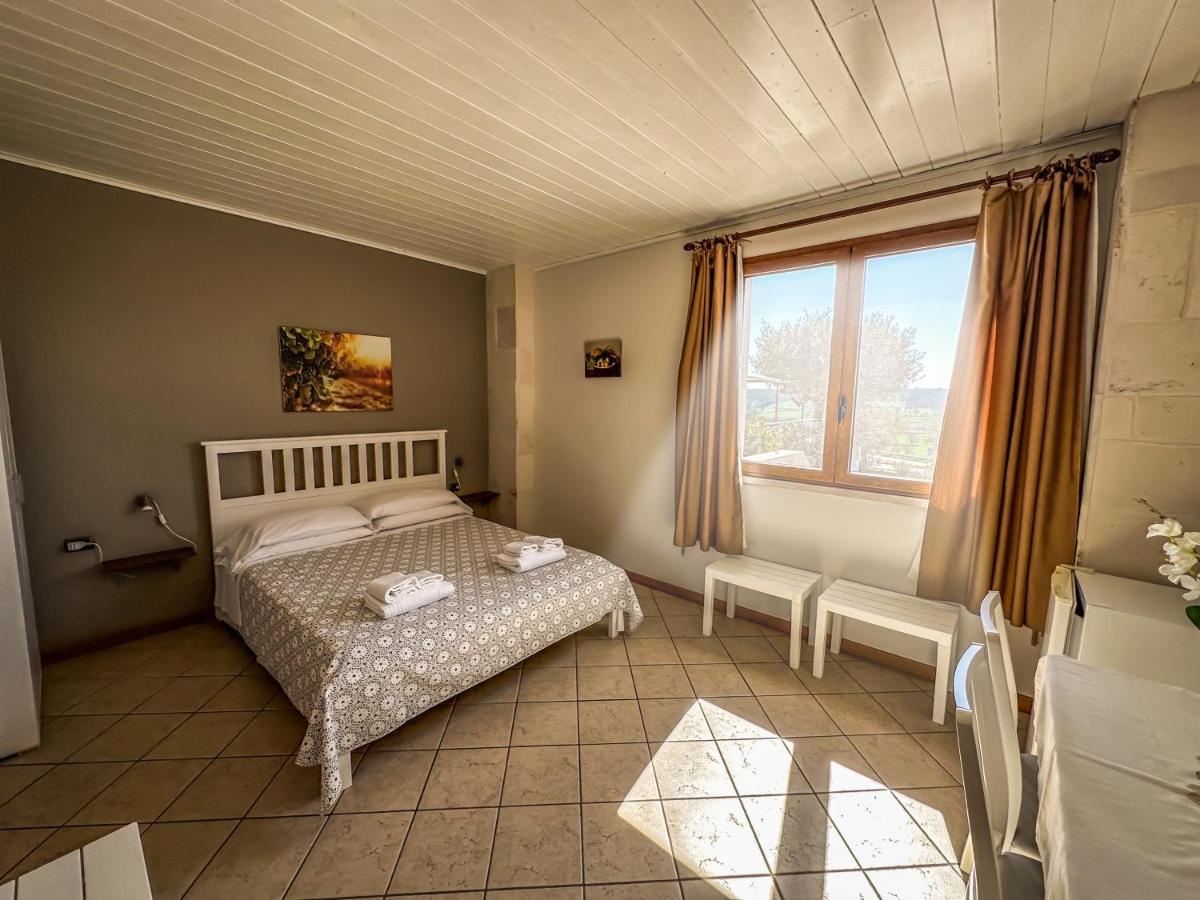 ألبيروبيللو B&B Il Leccio المظهر الخارجي الصورة